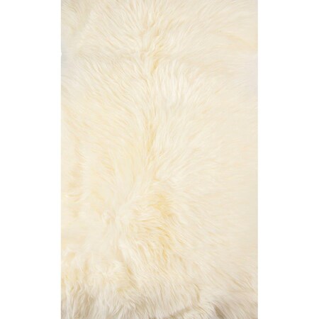 Palacedesigns Ivory New Zealand Natural Shearling Sheepskin Rug PA3094841
